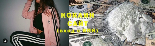 2c-b Гусев