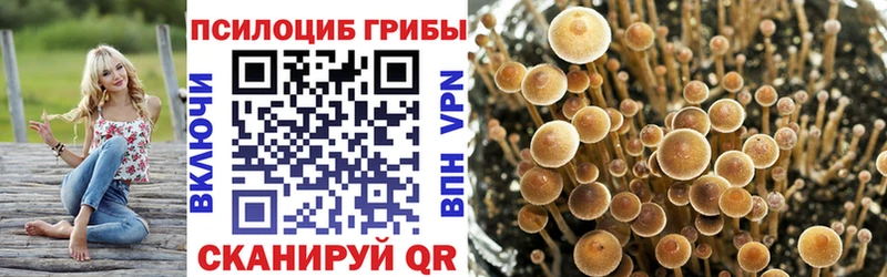 Псилоцибиновые грибы Magic Shrooms Купить Карабулак